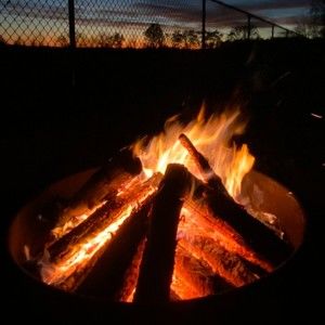 Meet your Posher, Evelyn